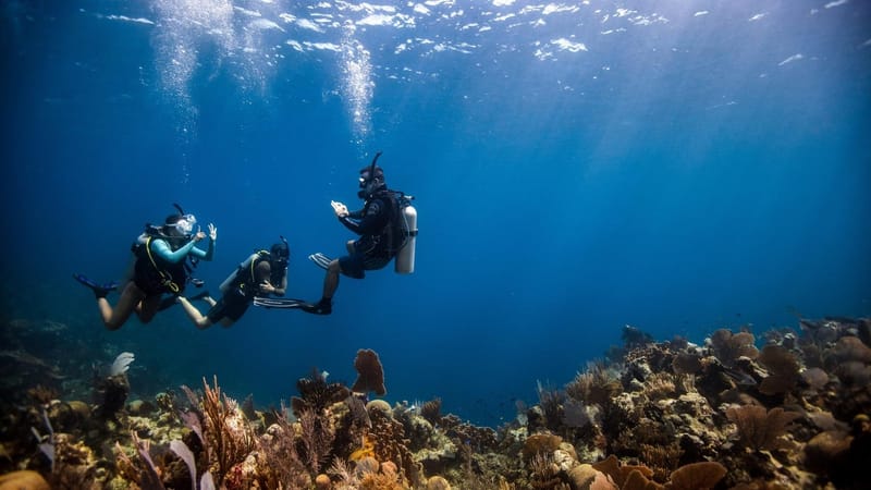 First-time divers discovering scuba together over a Boracay reef