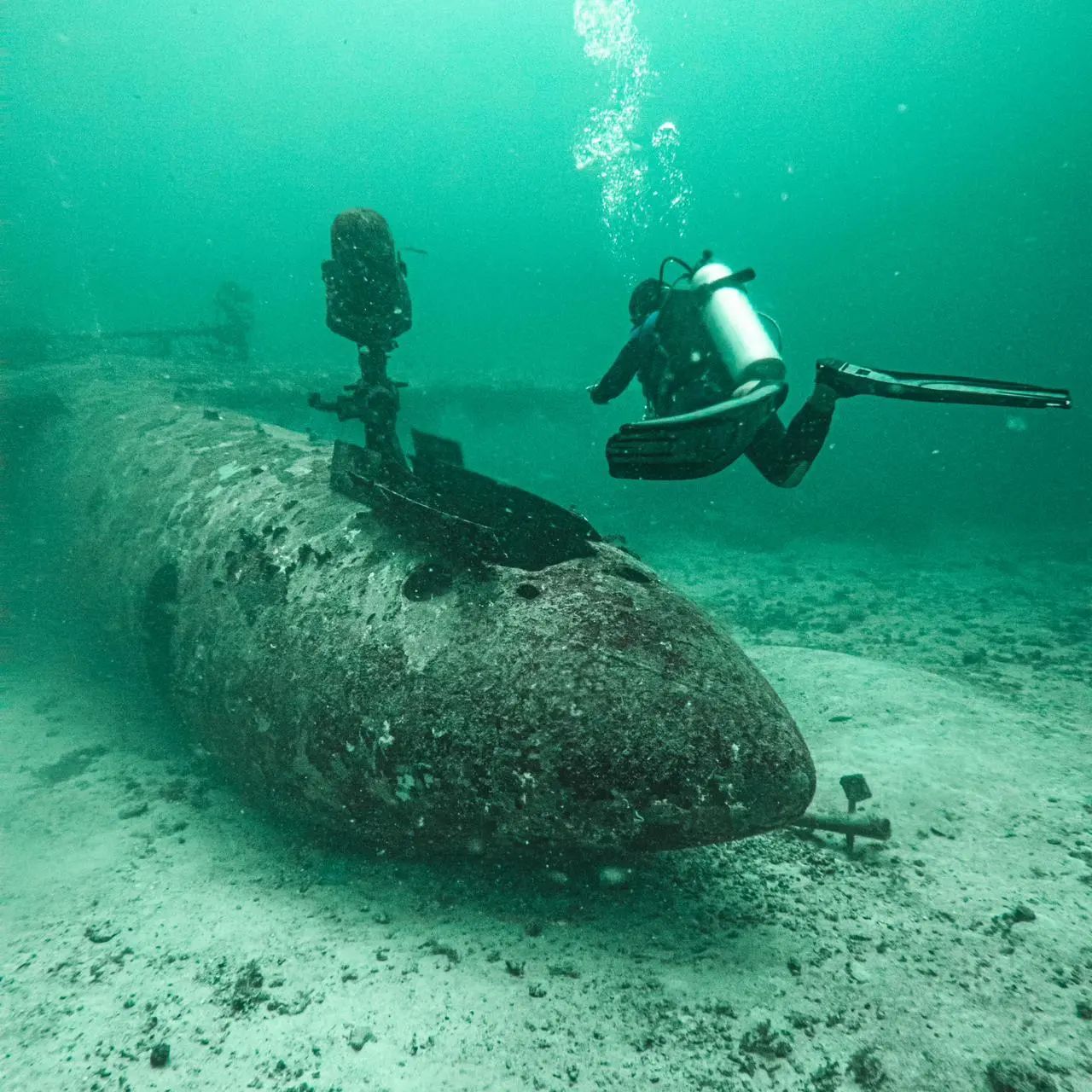 tribird wreck