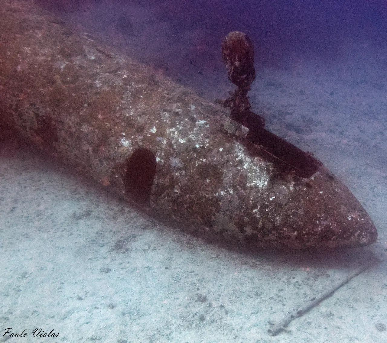 Tribird Wreck