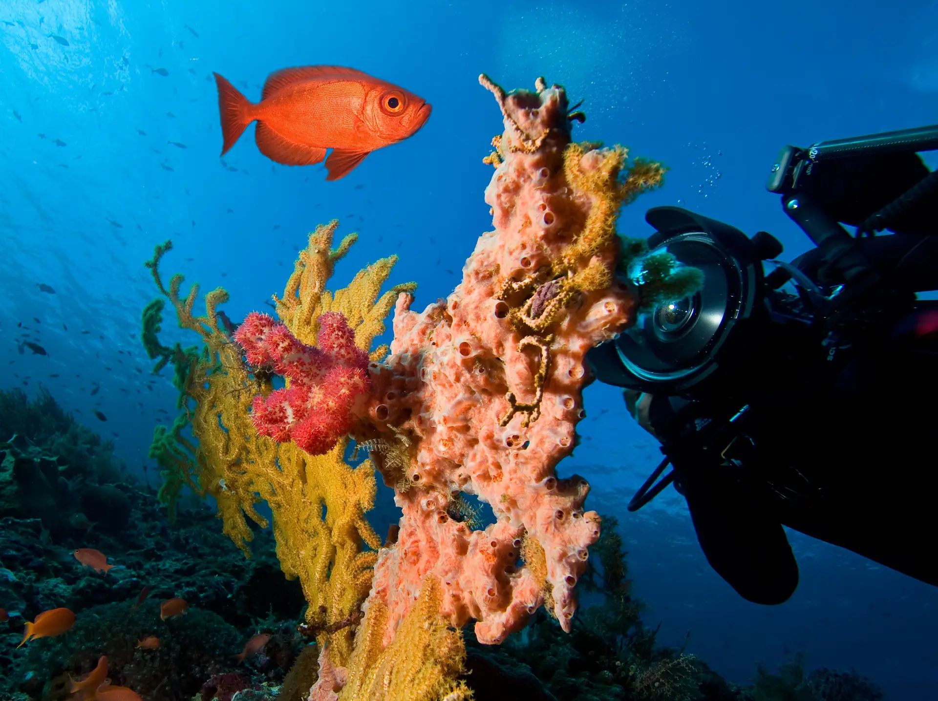 boracay underwater photography